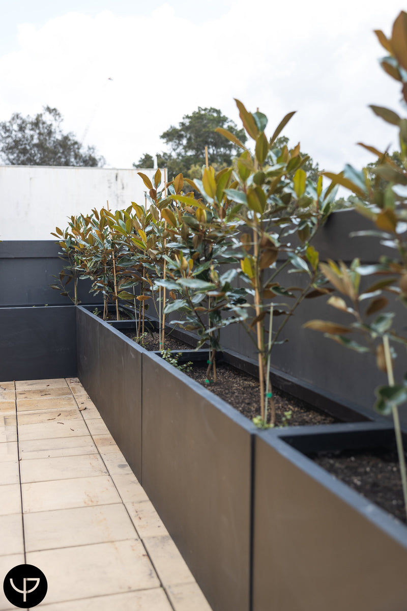 North Sydney Penthouse Project: 15 Custom Black Fibre Cement Planter Boxes