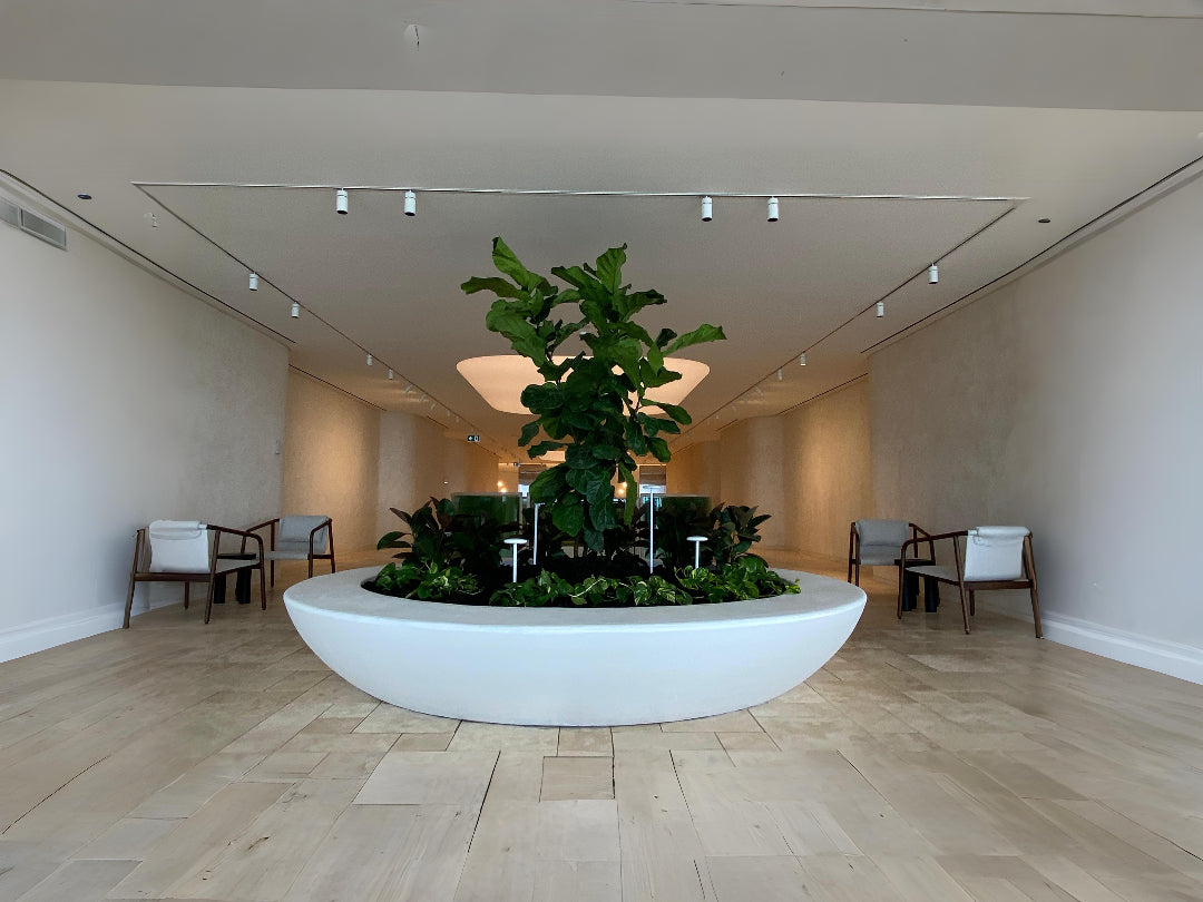 Commercial Planters Solutions
