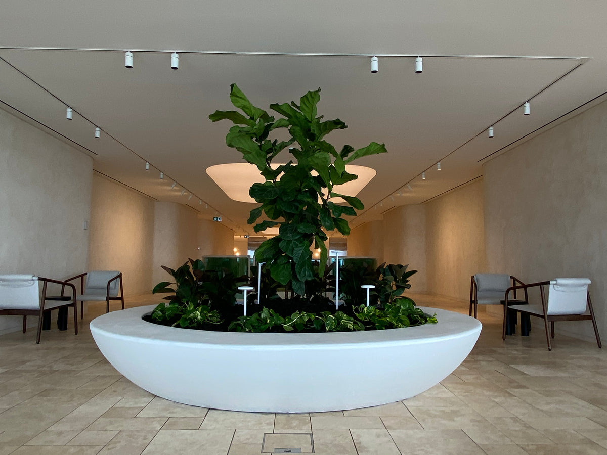 Commercial Projects