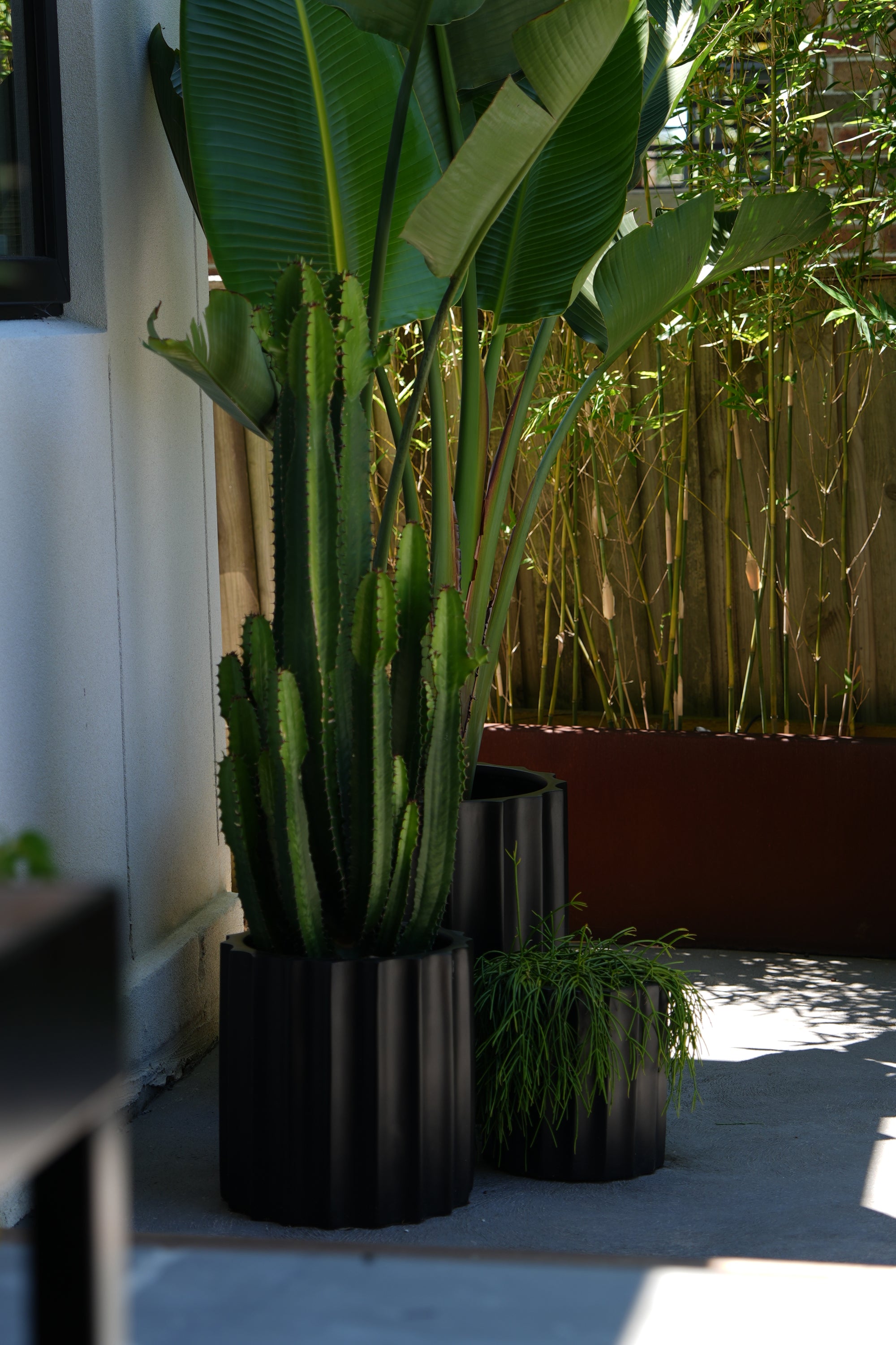 Commercial Planters Solutions