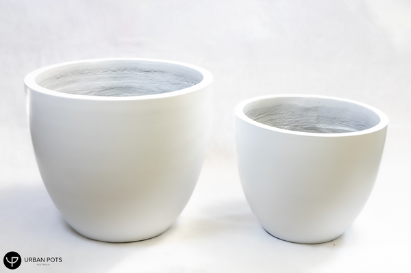 Tea Cup
