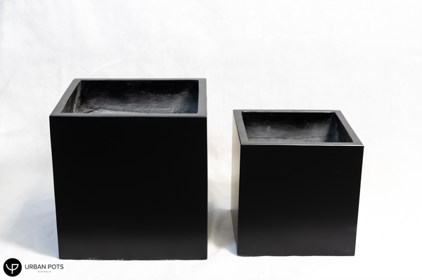 Cube