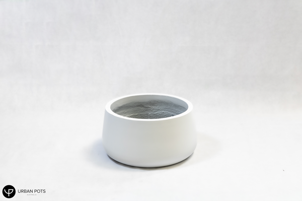 Dog Bowl