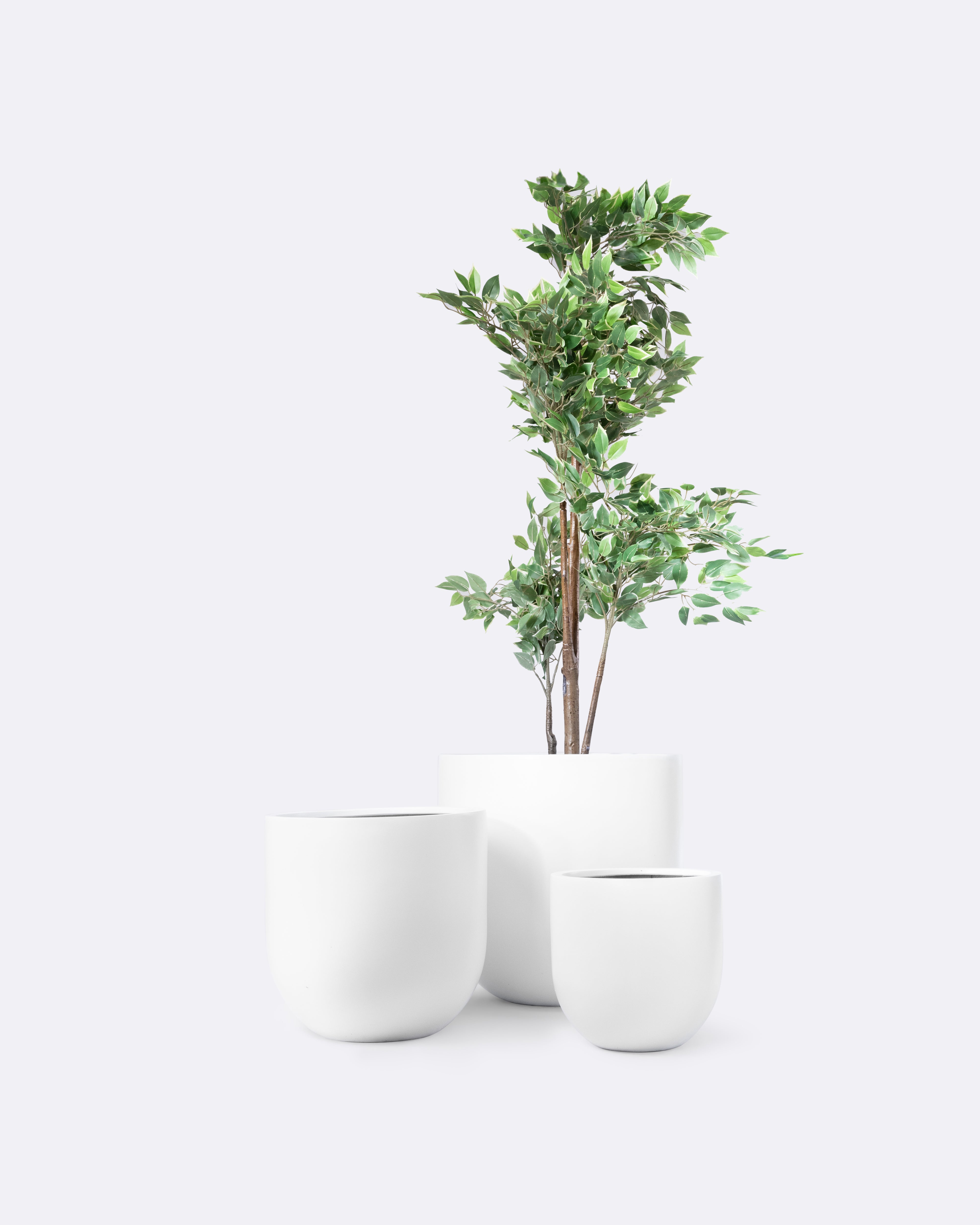 Eggy – Urbanpots