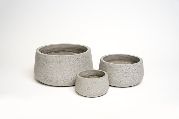 Dog Bowl