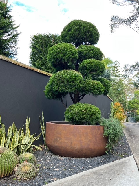 Rosebery NSW